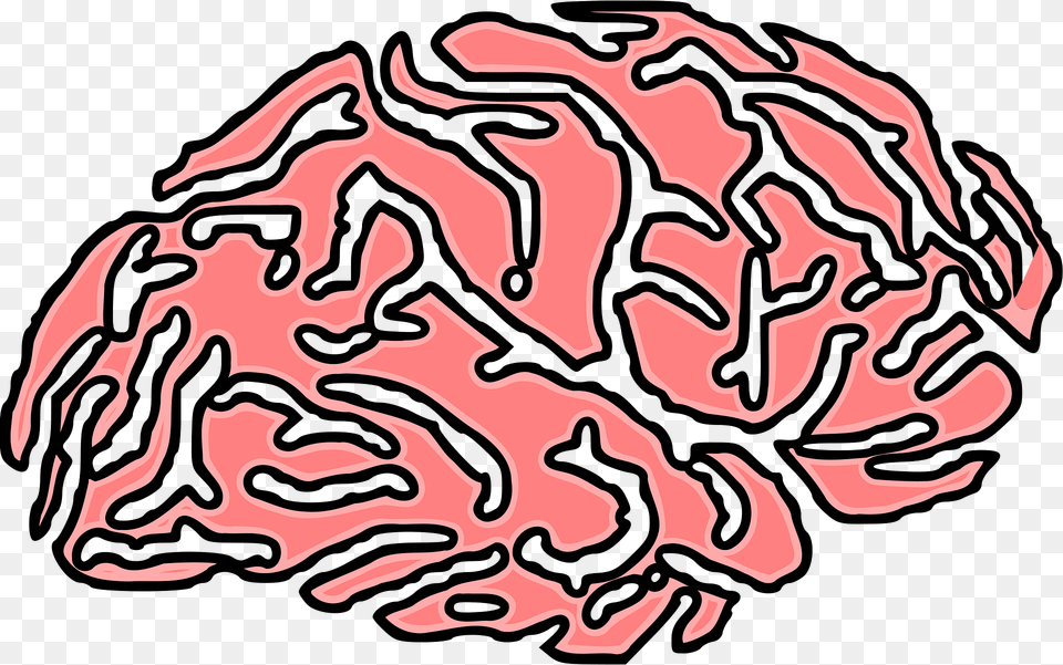 Brain Clipart, Animal, Sea Life, Sea, Reef Free Transparent Png