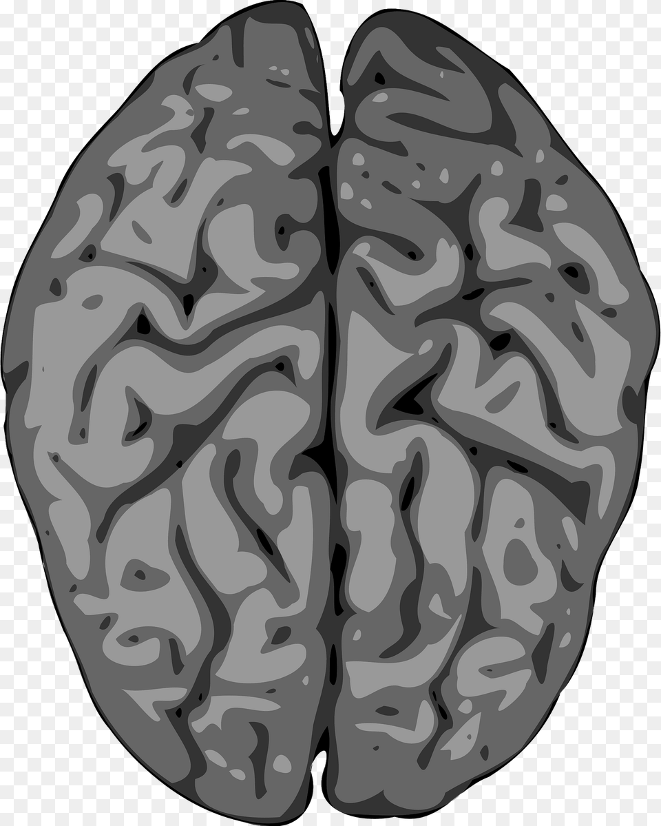 Brain Clipart, Ct Scan, Person, Face, Head Free Png