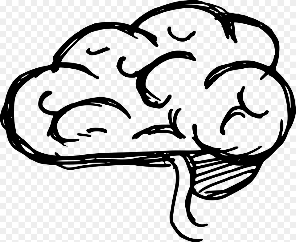 Brain Clipart Drawing Cartoon Drawings Of A Brain, Gray Png