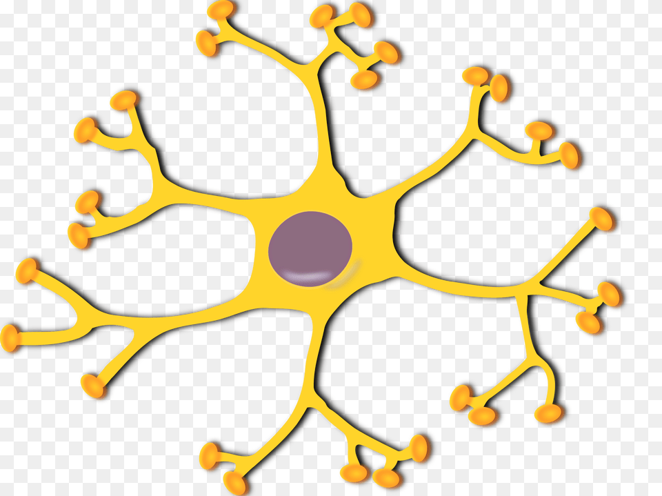 Brain Clipart Neuron, Accessories, Plant, Pollen, Pattern Png