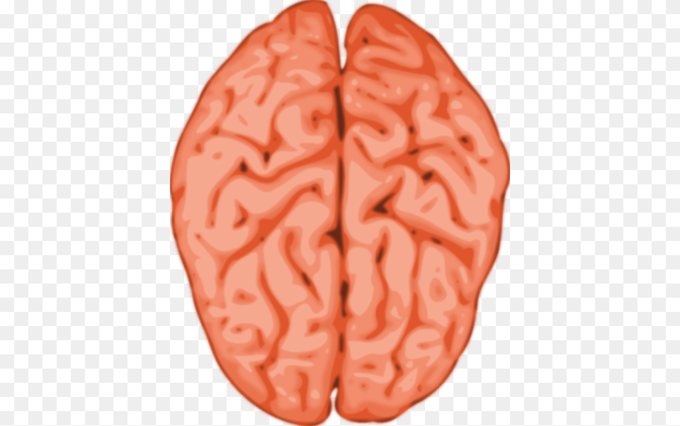 Brain Cliparts Transparent, Ct Scan, Body Part, Mouth, Person Png
