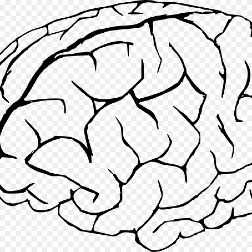 Brain Coloring, Gray Free Png Download