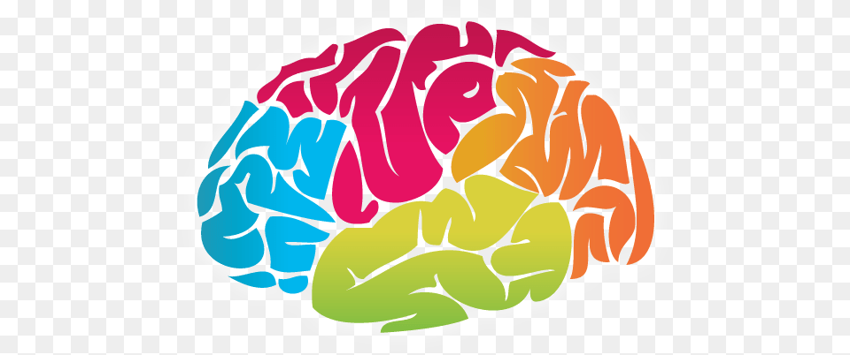 Brain Colour Drawing, Baby, Ct Scan, Person Free Transparent Png