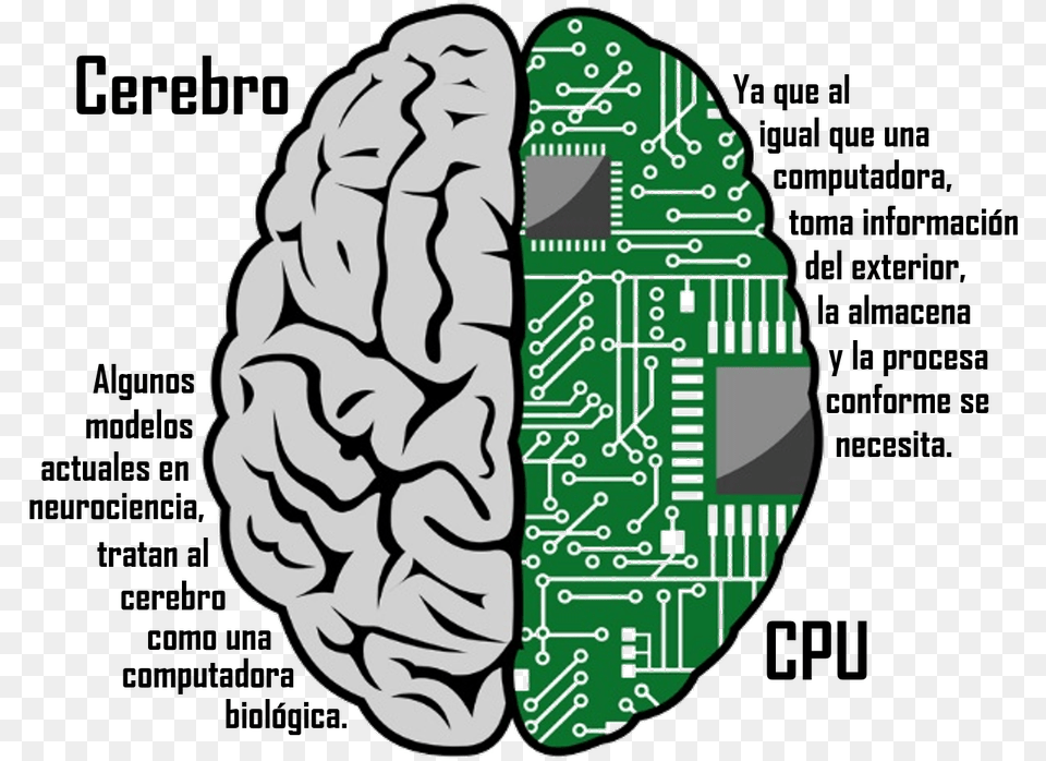 Brain Computer, Electronics, Hardware, Face, Head Free Png Download