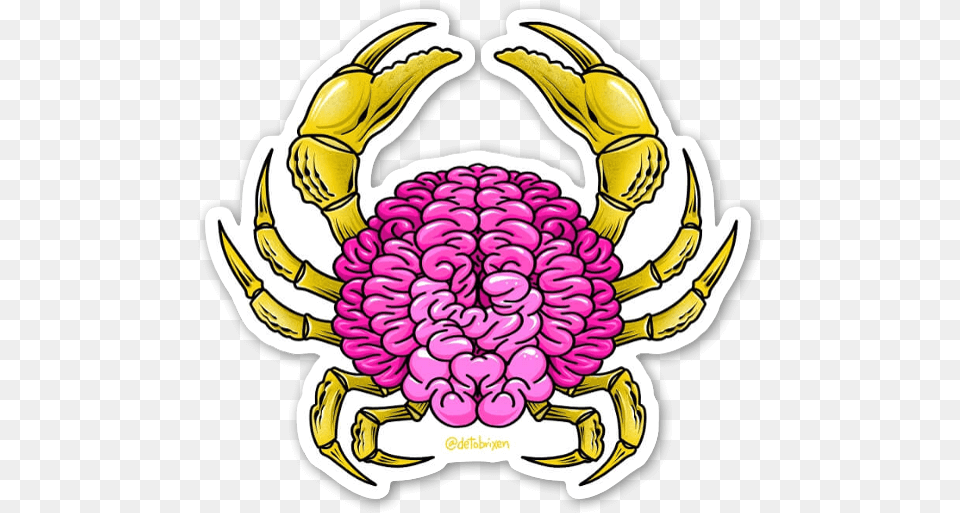 Brain Crab Sticker, Food, Seafood, Animal, Invertebrate Png Image