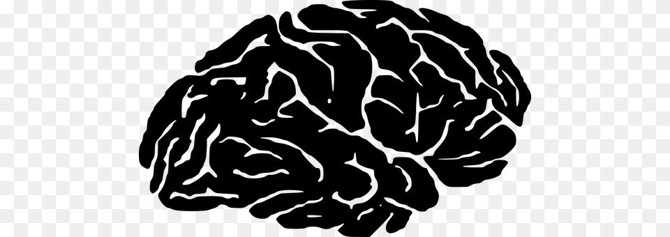 Brain Cranium Head Psychology Silhouette S Silhouette Brain, Gray Free Png