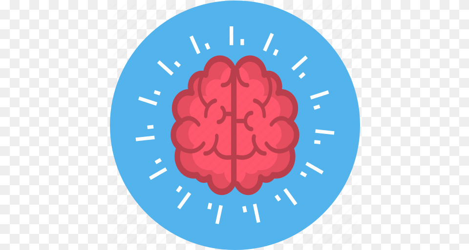 Brain Creative Creativity Head Idea Mind Icon Download On Iconfinder Creative Brain Icon Circle, Berry, Food, Fruit, Plant Png Image
