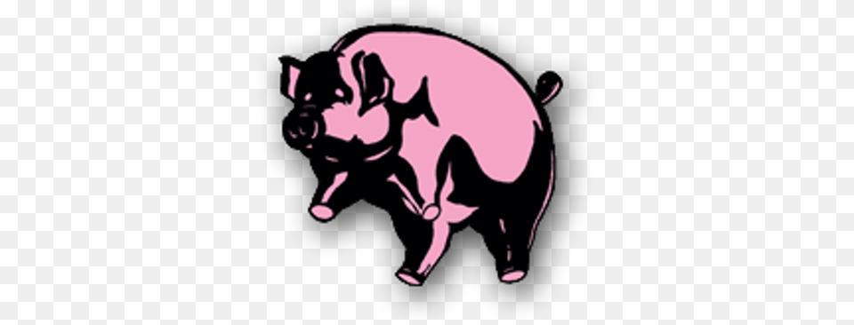 Brain Damage Uk Pink Floyd Animals Tshirt, Animal, Boar, Hog, Mammal Png Image