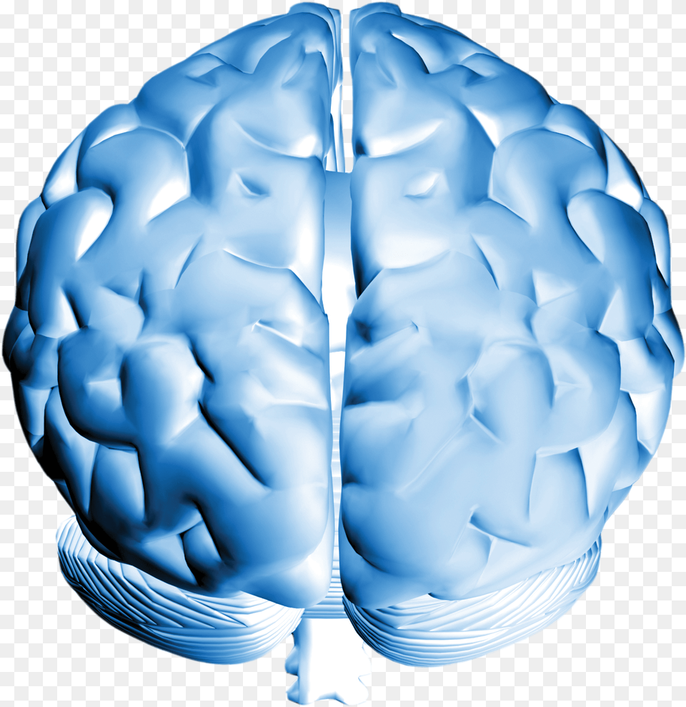 Brain Download Human Brain Front Facing, Ct Scan, Sphere, Crystal Png Image