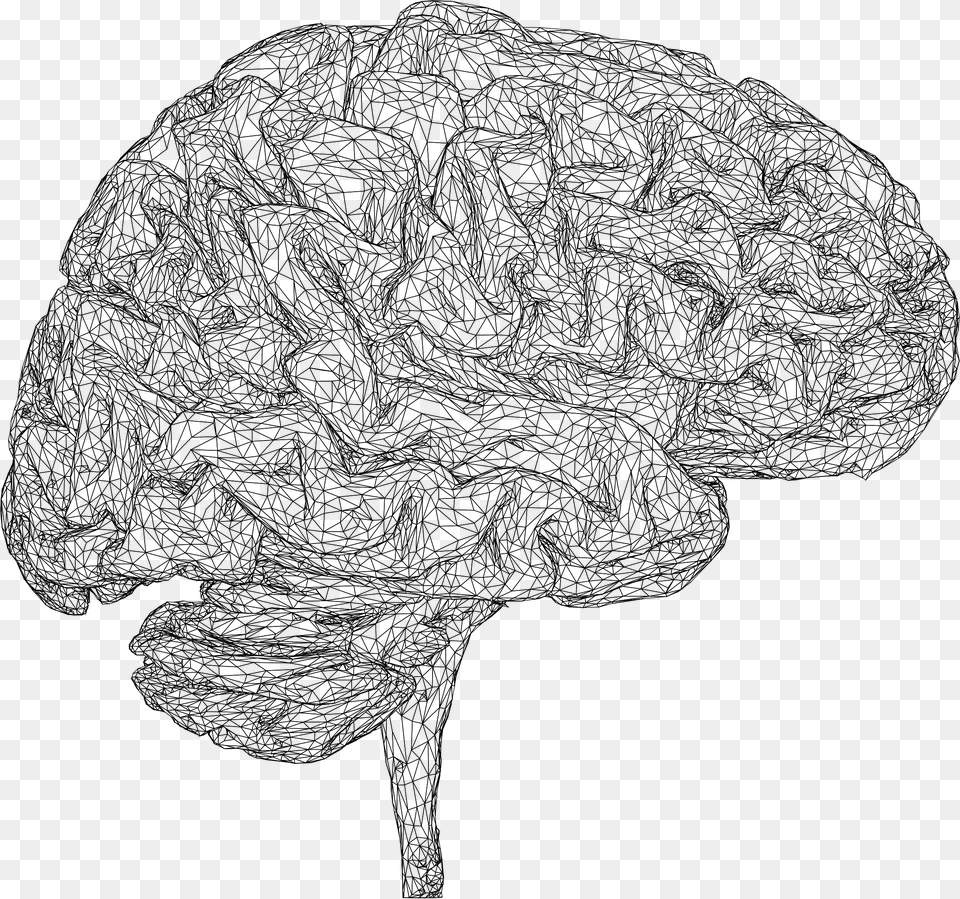 Brain Drawing Thought 3d Computer Graphics Sketch, Gray Free Transparent Png
