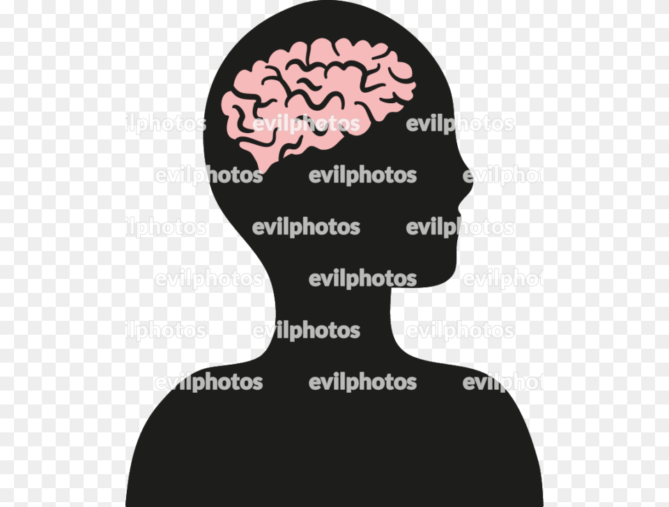 Brain Drawing Vector And Stock Photo Drawing, Body Part, Face, Head, Neck Png Image