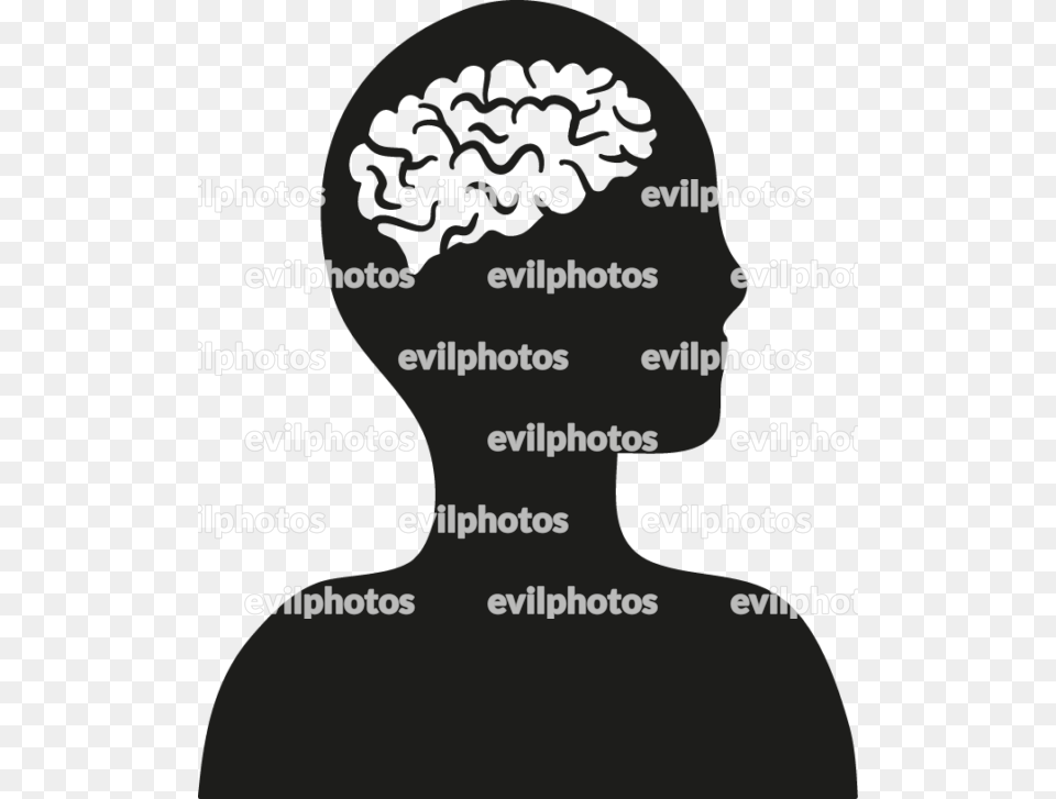 Brain Drawing Vector And Stock Photo Drawing, Head, Person, Face, Body Part Png Image