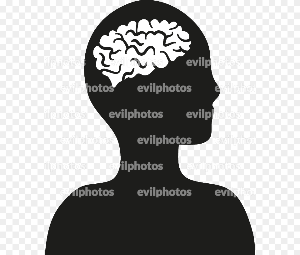 Brain Drawing Vector And Stock Photo Illustration, Body Part, Face, Head, Neck Png Image