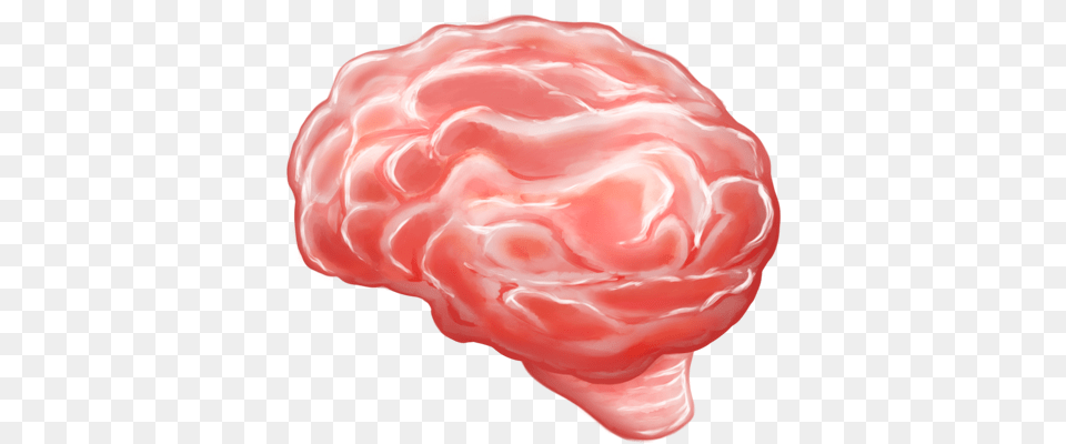 Brain Emoji All The New Emojis Just Added To Iphone Emoji, Mineral, Accessories Free Png