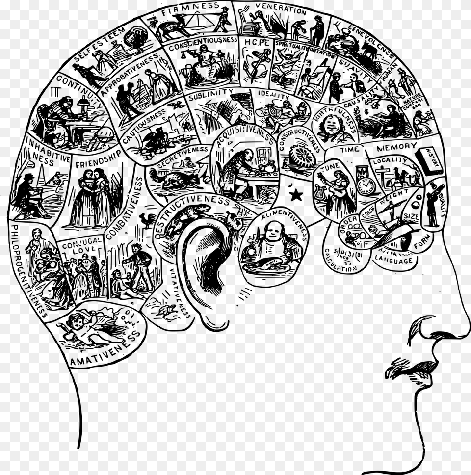 Brain Face Functions Head Human Image Brain Narrative, Gray Free Png
