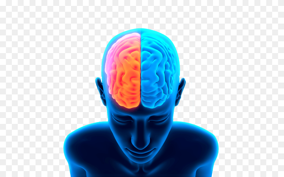 Brain Head, Adult, Ct Scan, Female, Person Free Png