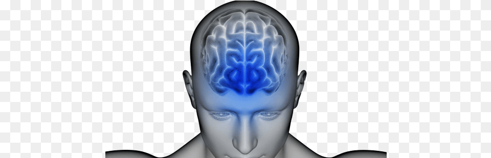 Brain Health Assessment And Plan Illustration, Head, Person, Baby Free Transparent Png