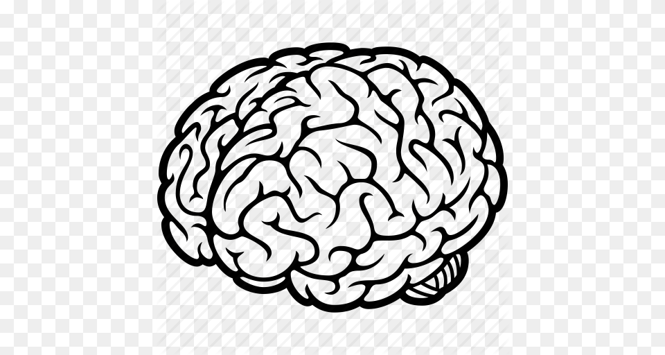 Brain Human Organ Idea Memory Mind Think Thinking Icon, Sphere, Food, Produce Png Image