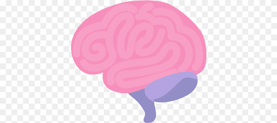 Brain Human Organ Transparent U0026 Svg Vector File Cerebro, Food, Sweets Png