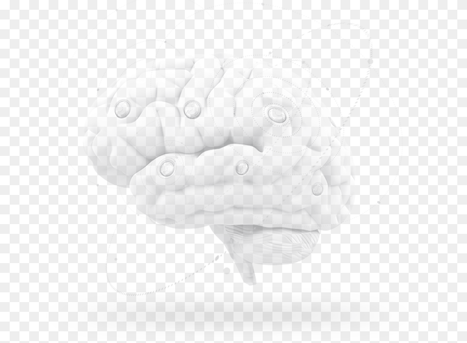 Brain Illustration, Art, Baby, Person Png Image