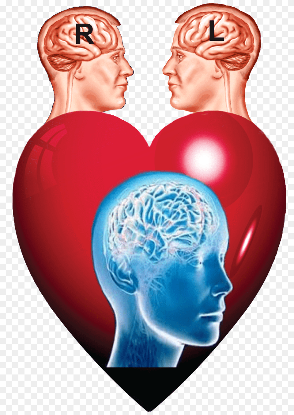 Brain Creative Commons, Balloon, Adult, Person, Woman Png Image