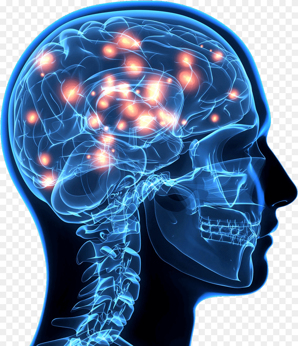 Brain Image Background Human Brain, X-ray Free Transparent Png
