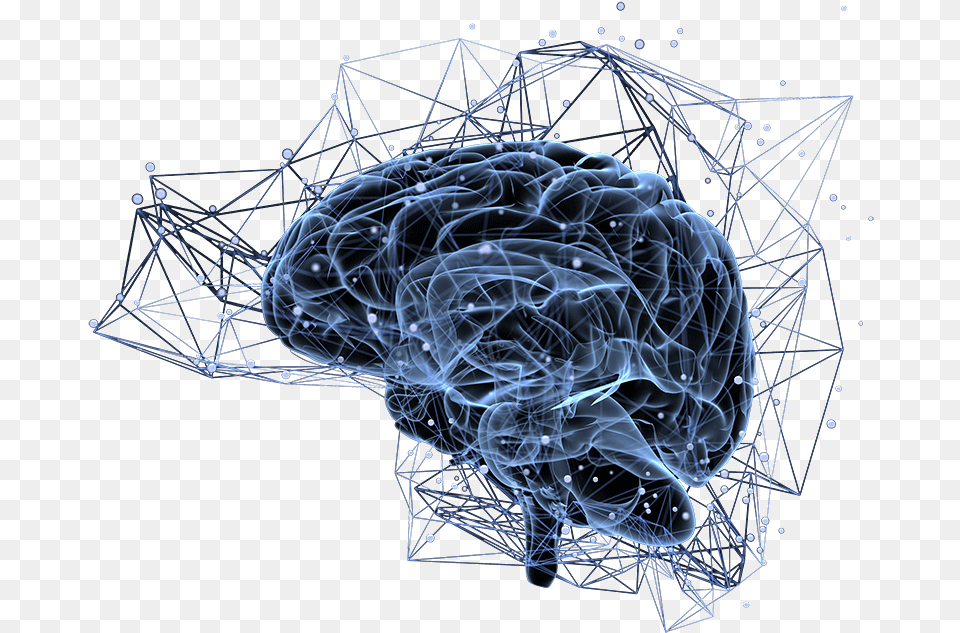 Brain Neuro Pathways Brain Neurons Icon, Pattern, Accessories, Sphere Png