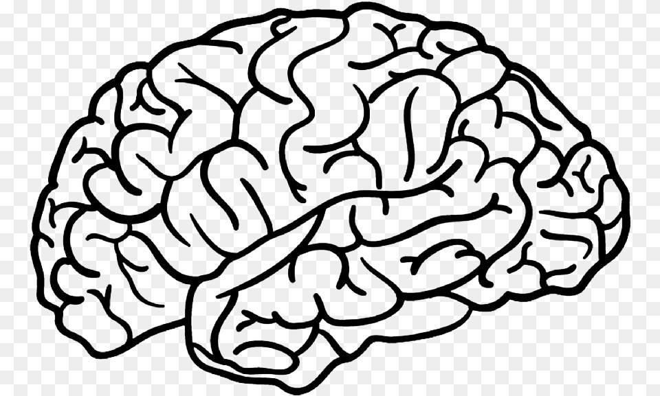 Brain Outline Brain, Gray Free Png Download