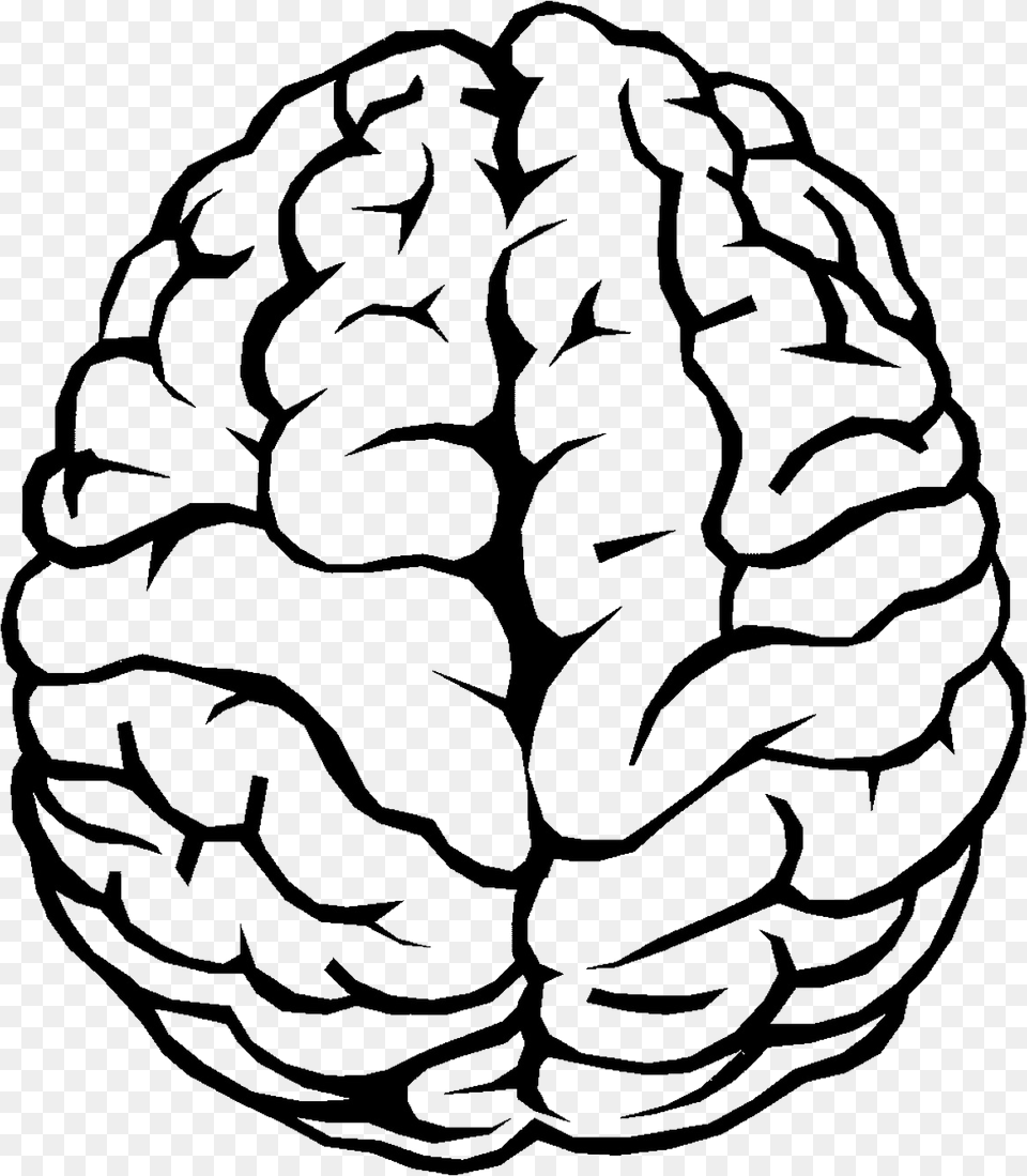 Brain Outline Brain Drawing, Vegetable, Food, Produce, Nut Free Png Download