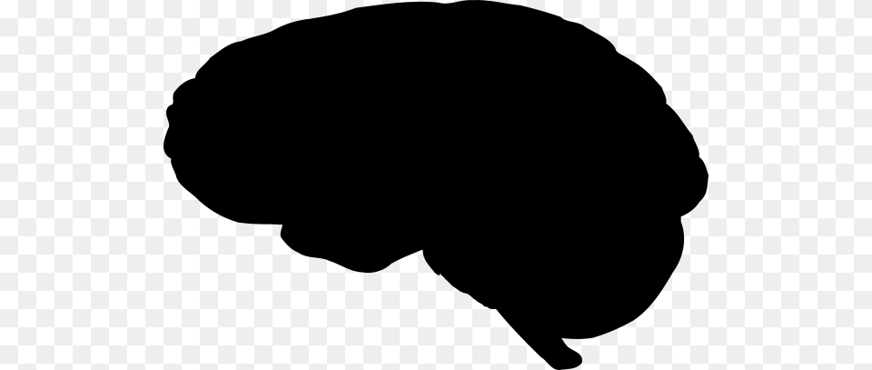 Brain Outline Clip Art, Gray Free Png Download