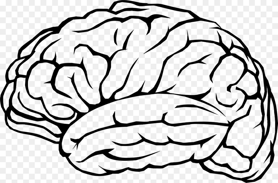 Brain Outline Background, Gray Free Transparent Png