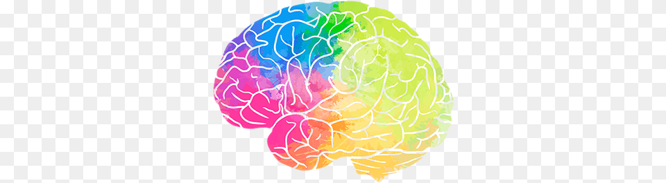 Brain Part Of The Brain Processes Emotions, Person, Mineral, Sea Life, Sea Free Transparent Png