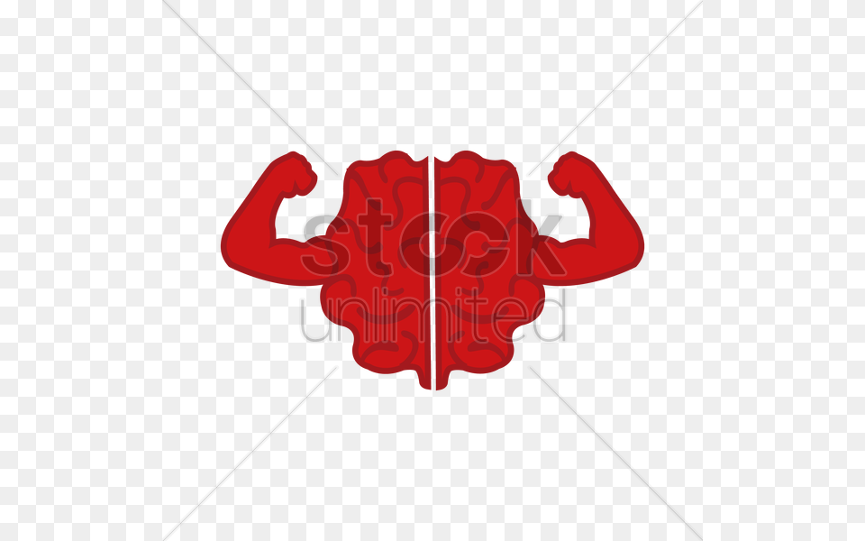 Brain Posing With Muscles Vector, Body Part, Hand, Person, Fist Free Png Download