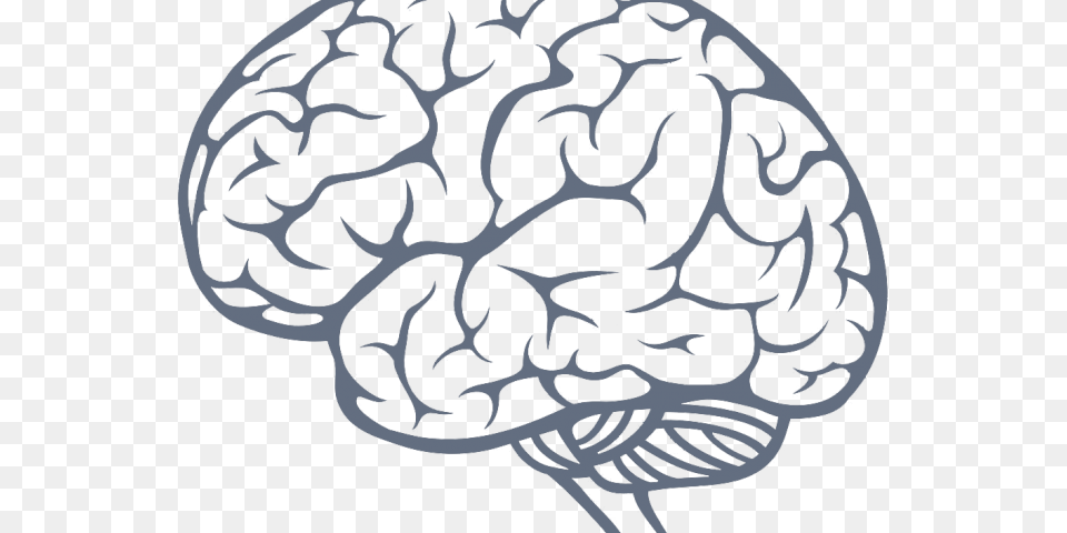 Brain Side View Vector, Pattern, Person, Stencil, Art Free Transparent Png