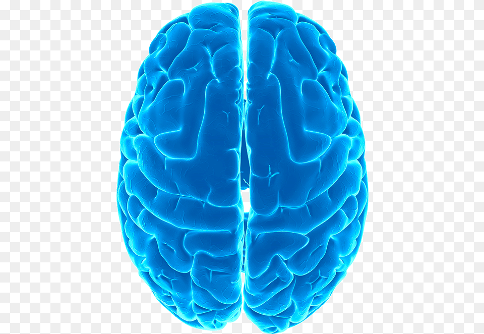 Brain Smart Brain, Ct Scan, Cake, Dessert, Food Png