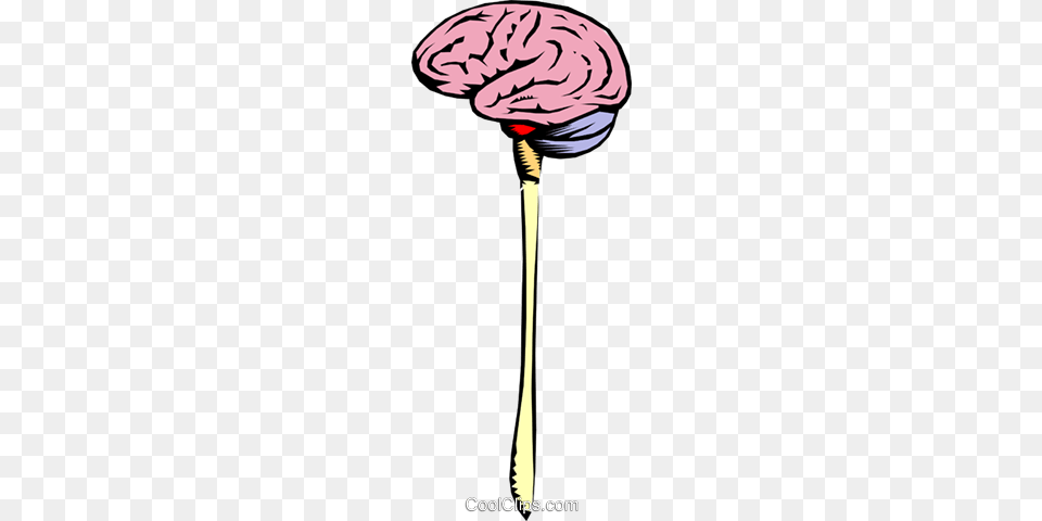 Brain Stem Royalty Vector Clip Art Illustration, Flower, Plant, Animal, Bird Png Image