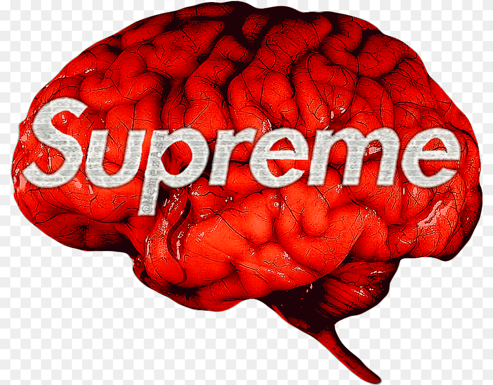 Brain Supreme Bape Logo Hypebeast Memezasf Fake Supreme Hoodie Logo, Berry, Food, Fruit, Plant Png Image