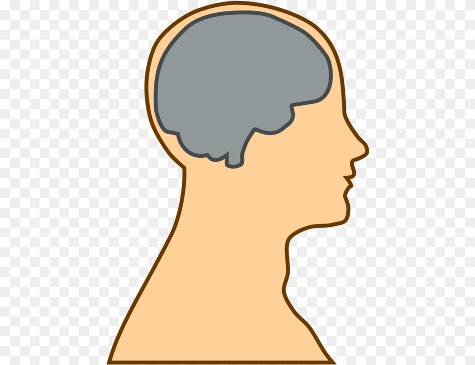 Brain Thinking Ideas People Person Head Body Cartoon Head With Brain, Body Part, Face, Neck, Adult Free Png