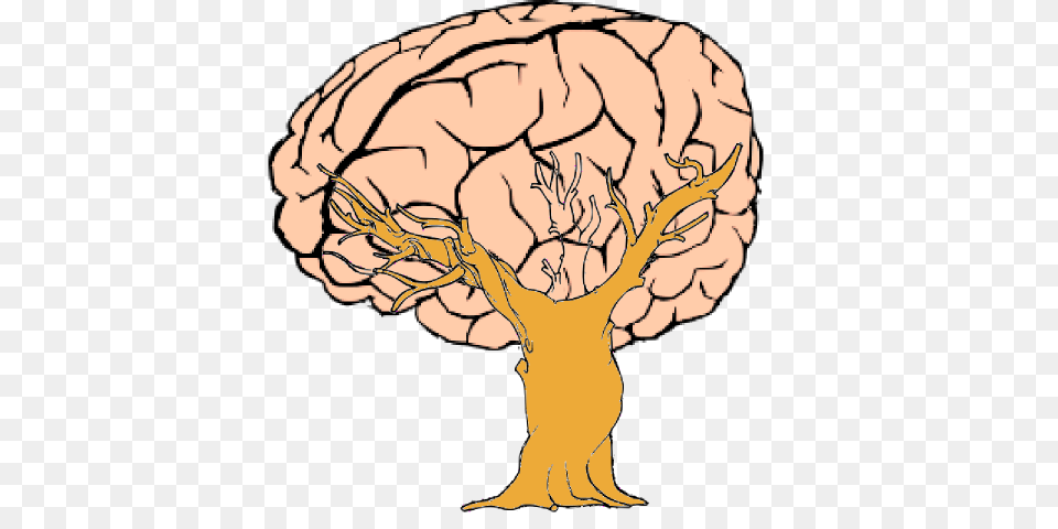 Brain Tree Clip Art, Plant, Baby, Person Free Png Download