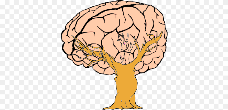 Brain Tree Clip Art Vector Clip Art Online Brain Line Art, Person, Plant Png