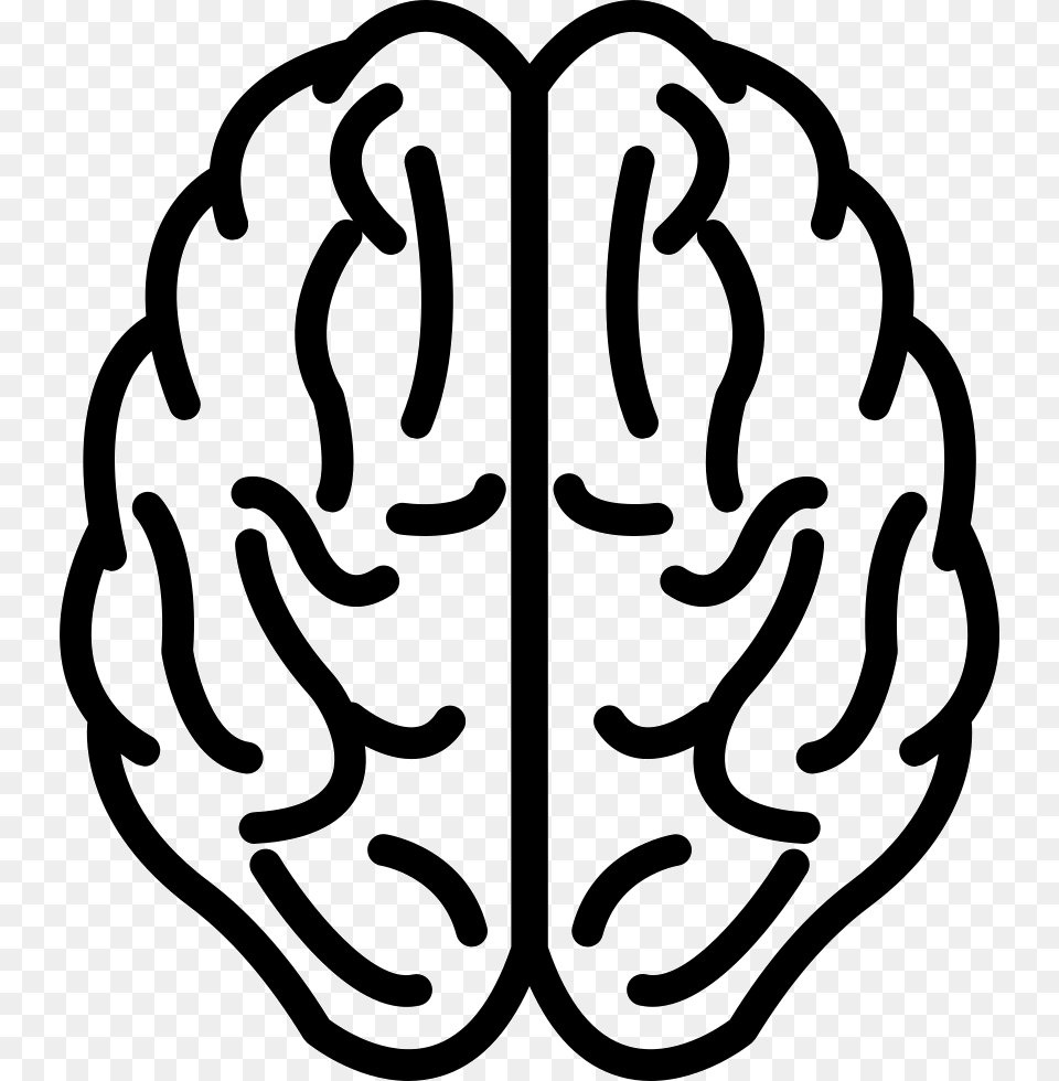 Brain Upper View Outline Brain Outline, Stencil, Food, Nut, Plant Png Image