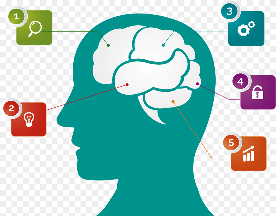 Brain Vector Infographic Infographic Icon, Head, Person, Face Free Png
