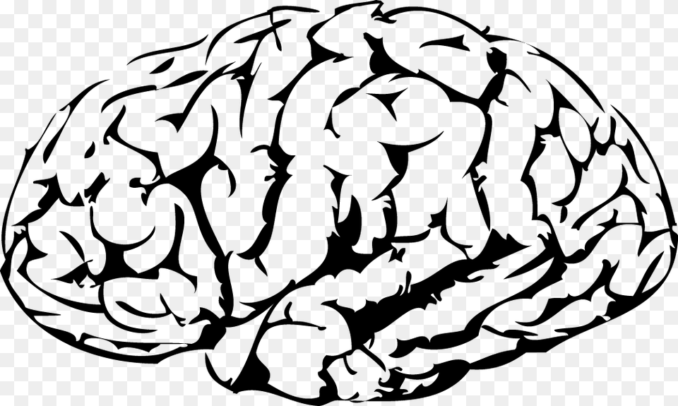 Brain Vector Military, Vegetable, Food, Produce, Nut Png
