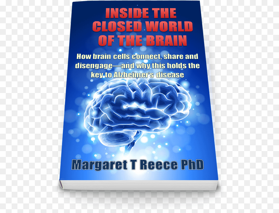 Brain With Blue Background, Advertisement, Poster, Book, Publication Free Png