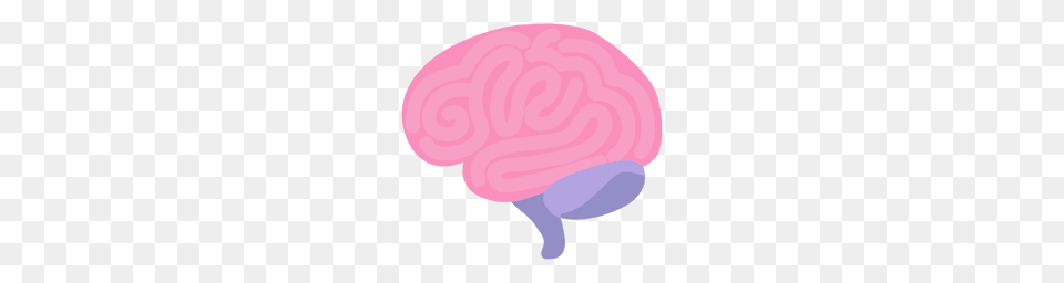 Brain With Bolt Illustration, Clothing, Hat, Cap Free Png