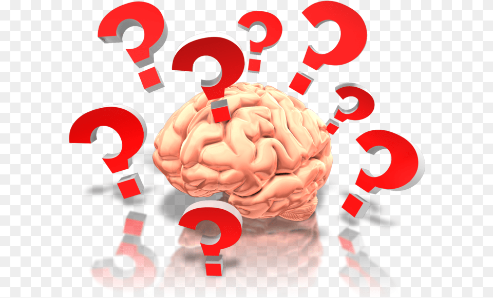 Brain With Questions 800 Clr 9219 Questions Brain, Baby, Person, Dynamite, Weapon Free Png Download