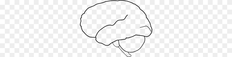 Brains Clipart Blank, Gray Png Image