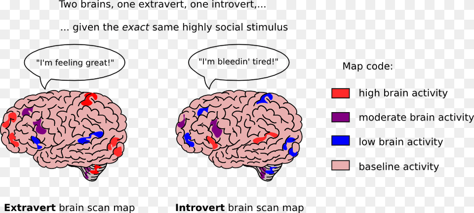 Brains Clipart Brain Activity Introvert39s Brain, Burger, Food, Diagram Png