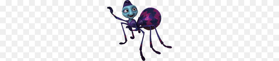 Brainy Bug Niddy The Spider, Purple, Animal, Invertebrate Free Transparent Png