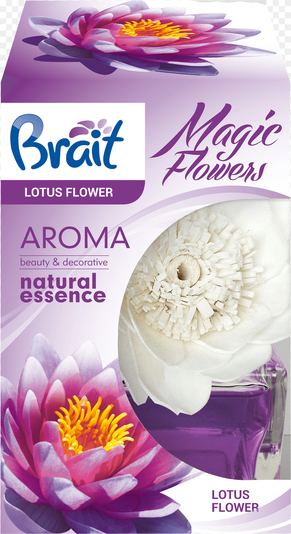 Brait Magic Flower, Plant, Advertisement Free Png